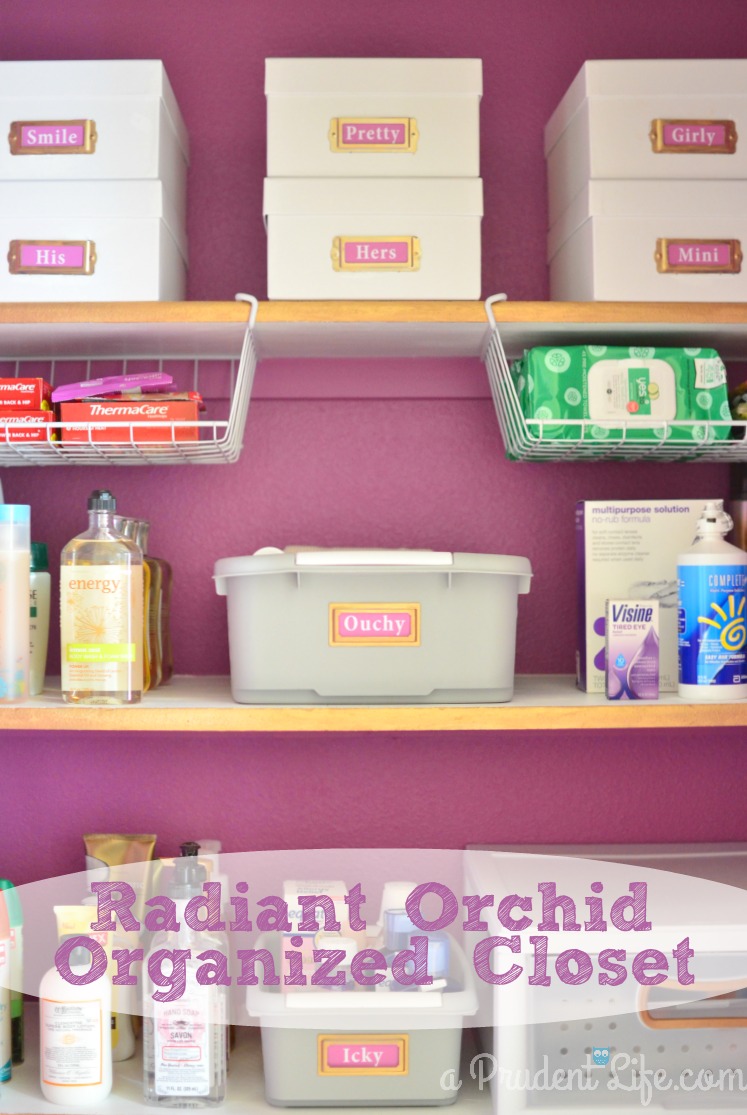 Radian_Orchid_Organized_Bathroom_Closet